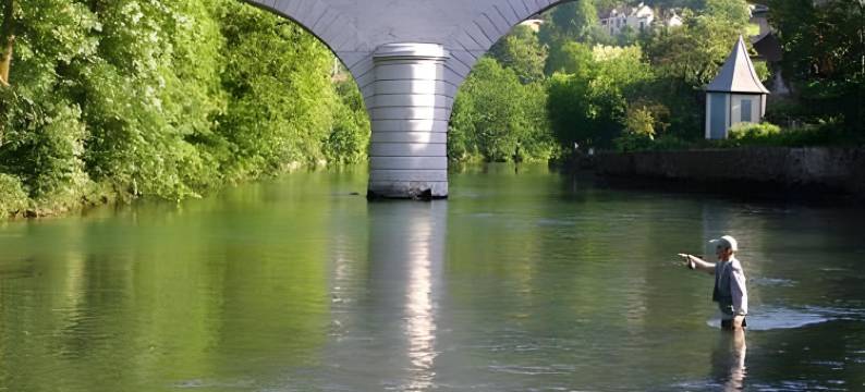 吉特德斯3号海博克斯酒店(Gîte des 3 Hiboux)图片