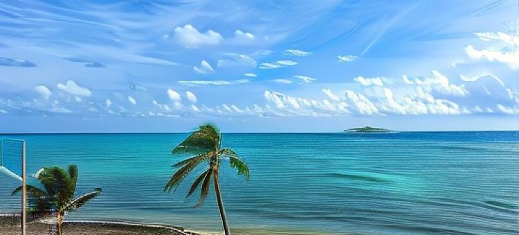 加勒比海岛酒店(Caribbean Island Hotel)图片