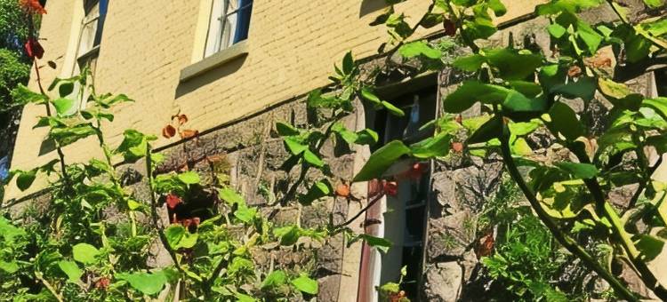 Bindley House B&B Cottage图片