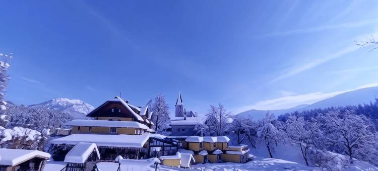 卡尼舍霍夫酒店(Karnischer Hof)图片