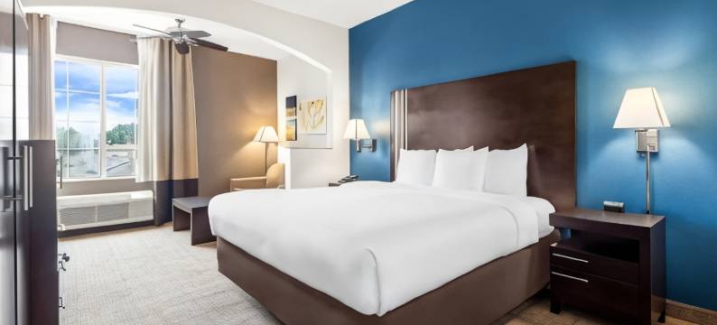 新奥尔良东舒适套房酒店(Comfort Suites New Orleans East)图片