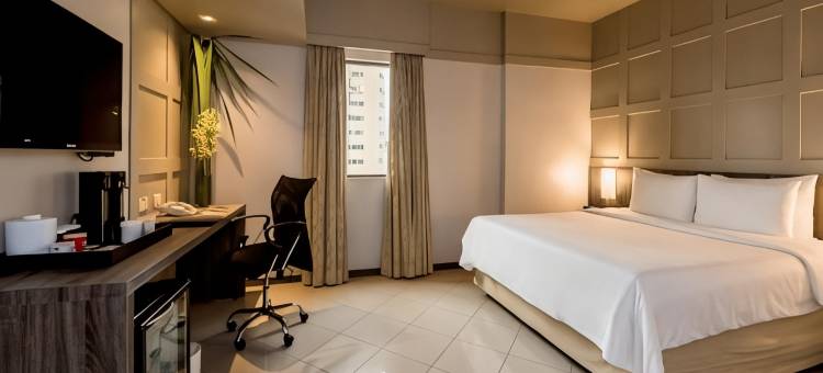 贝伦美爵大酒店(Grand Mercure Belém do Pará)图片