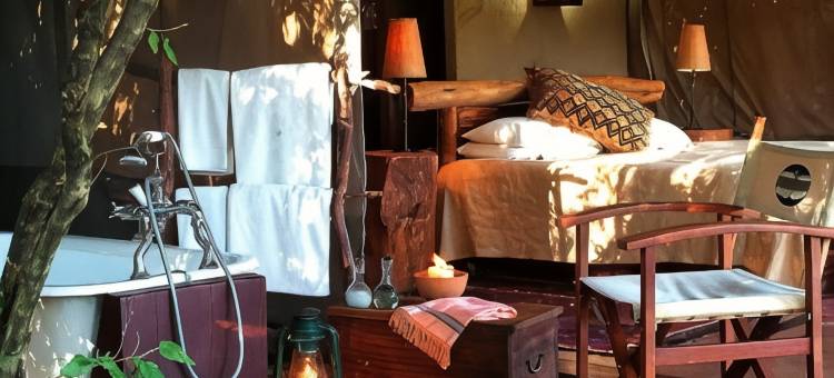 玛拉探索者酒店(Mara Explorer)图片