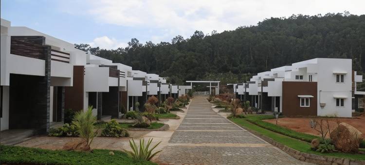 Eco Village - No Alcohol Zone图片