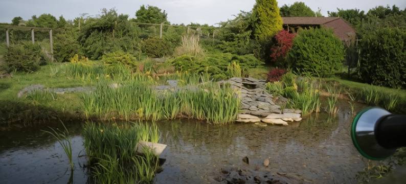 指针旅馆(Pointers Guest House)图片