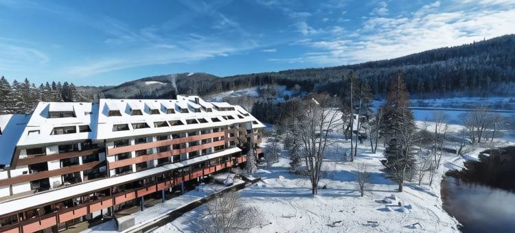 蒂蒂湖酒店(Maritim TitiseeHotel Titisee-Neustadt)图片