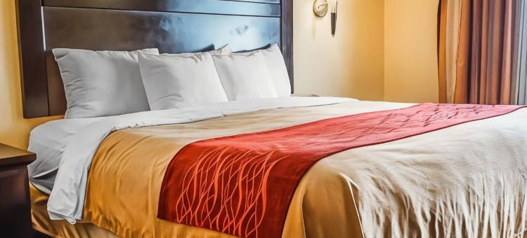 品质酒店及套房罗斯威尔北(Quality Inn & Suites Roswell North)图片