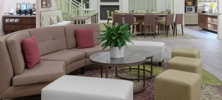 塔拉哈西Homewood Suites by Hilton(Homewood Suites by Hilton Tallahassee)图片