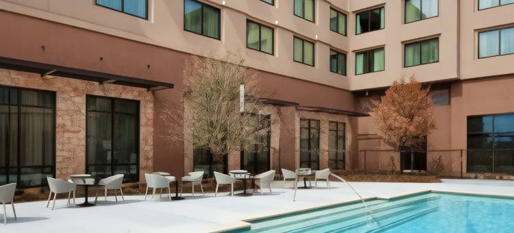 麦金尼喜来登酒店(Sheraton McKinney Hotel)图片