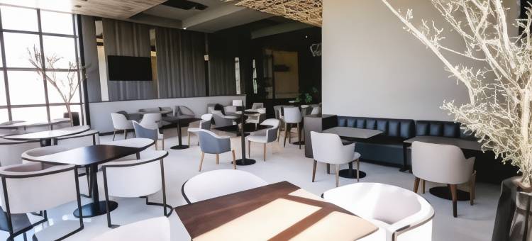 希尔顿花园酒店圣地亚哥-德尔埃斯特罗(Hilton Garden Inn Santiago del Estero)图片