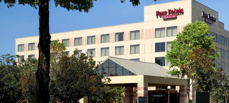 福朋喜来登喜來登酒店-费城机场(Four Points by Sheraton Philadelphia Airport)图片