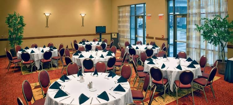 东皮奥里亚滨河希尔顿安泊酒店(Embassy Suites by Hilton East Peoria Riverfront Hotel & Conference Center)图片