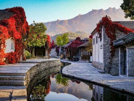 Beijing W Town Launches Limited-Time Autumn Foliage Viewing and Blessing Event