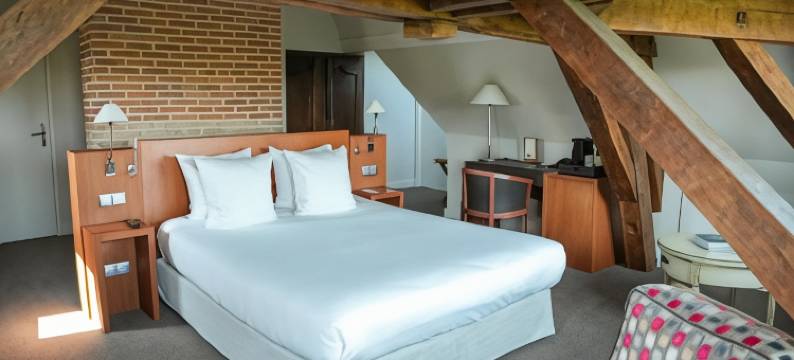 圣酒庄旅馆 - 萨宾(Chateau Sainte Sabine)图片