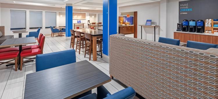 智选假日套房酒店拉斐特南(Holiday Inn Express & Suites Lafayette-South)图片