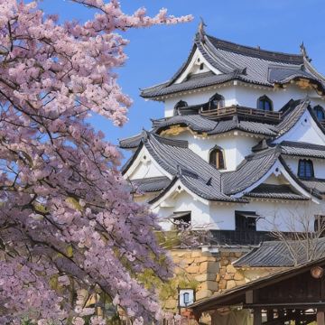 东京+伊豆+富士山5日4晚拼小团