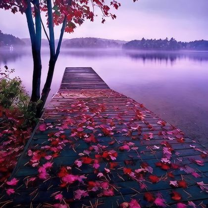 千岛群岛+阿尔冈金省立公园+马斯科卡湖+汤卜朗山地区11日10晚私家团