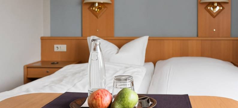 里德裴森招待所(Pension Ridder)图片