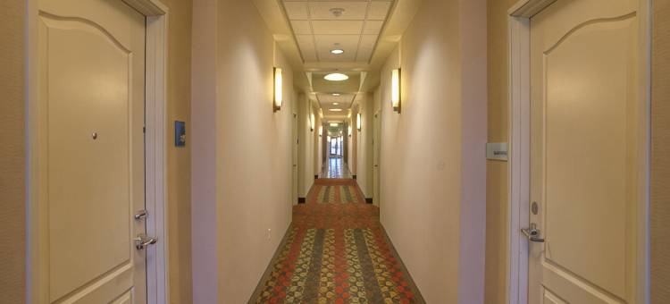 智选假日套房酒店凤凰城(沙漠岭)(Holiday Inn Express & Suites PHOENIX NORTH - SCOTTSDALE by IHG)图片