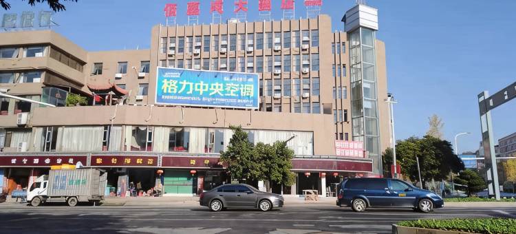 佰嘉成大酒店(大余林丰店)图片
