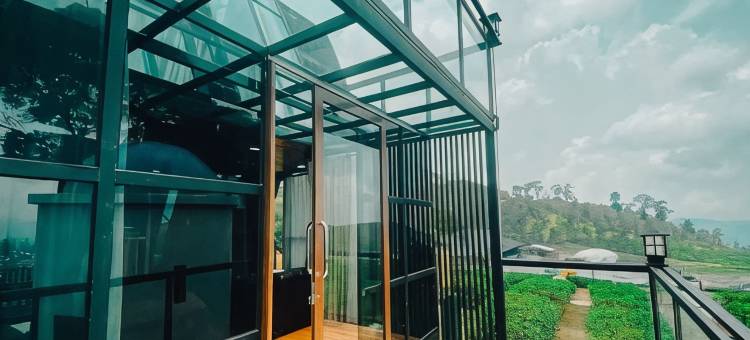 尼莫茶园度假村(Nimo Tea Resort)图片