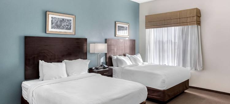 MainStay 套房 大斯普林北 I-20(MainStay Suites Big Spring North I-20)图片