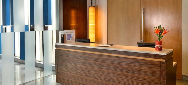 新德里机场大道福朋喜来登酒店(Four Points by Sheraton New Delhi, Airport Highway)图片