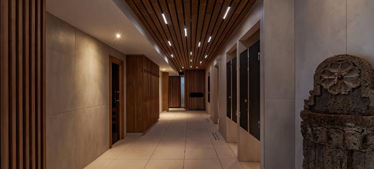卡泊纳自然酒店(Hotel Carbona Thermal Spa)图片