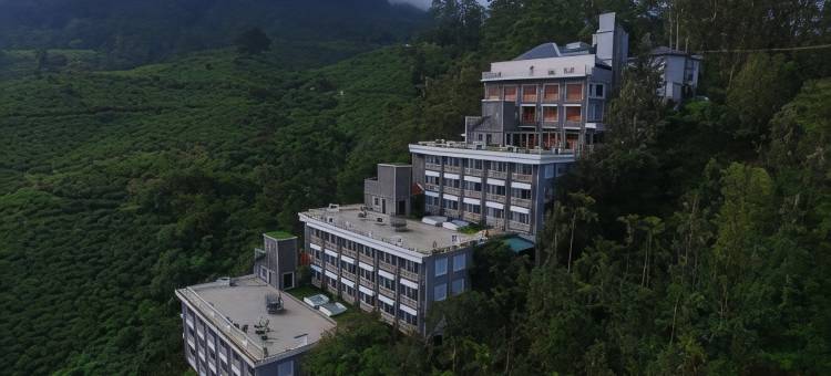 坎迪斯文迪伍兹酒店(Chandys Windy Woods Munnar)图片