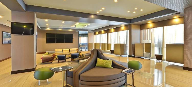 艾尔克格罗夫村奥黑尔温德姆花园酒店(Wyndham Garden Elk Grove Village/O'Hare)图片