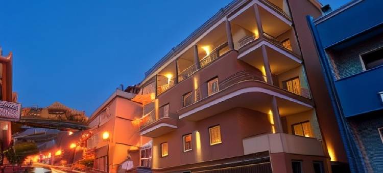 杰纳斯酒店(Janus Hotel)图片