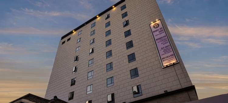 哈丹褐点酒店(Brown Dot Hotel Hadan)图片