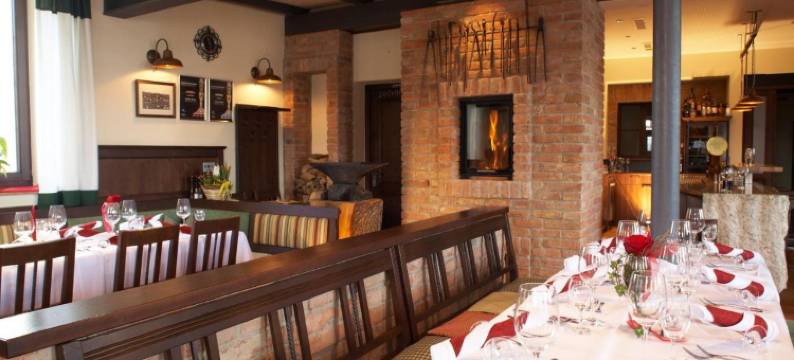 特劳姆施米德酒店(Hotel Traumschmiede)图片