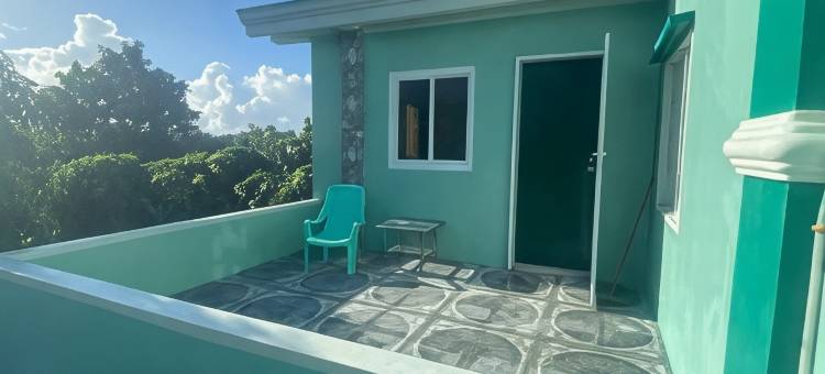 The Green House图片