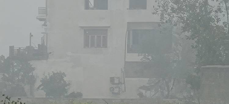 宜必思农场住宿酒店(IbisHouse Farm Stay)图片