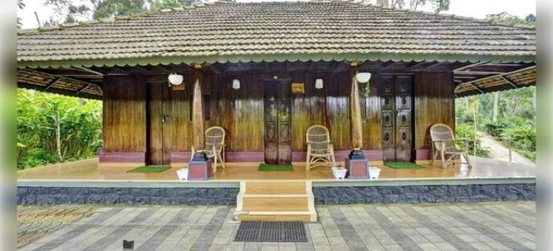 雾银(Misty D Silver)图片