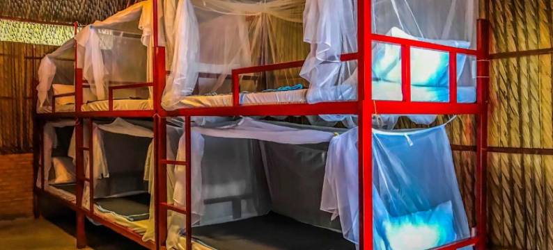 i家背包客度假村-i家原创酒店(IHome Backpacker Resort)图片