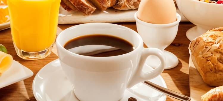 威尔明顿罗亚尔顿套房酒店(Royalton Inn and Suites, Wilmington,Ohio)图片