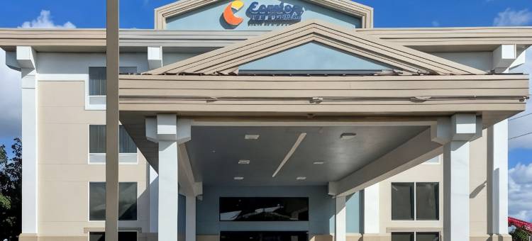 萨拉索塔 I75 舒适套房酒店(Comfort Inn & Suites Sarasota I75)图片