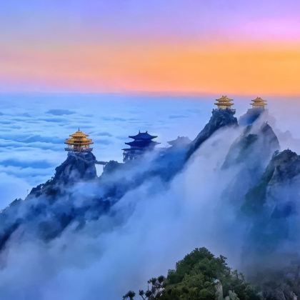 河南洛阳+老君山景区+龙门石窟+白马寺+少林寺4日3晚私家团