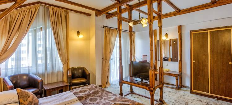 安姆比恩特膳食公寓酒店(Pensiunea Ambient)图片