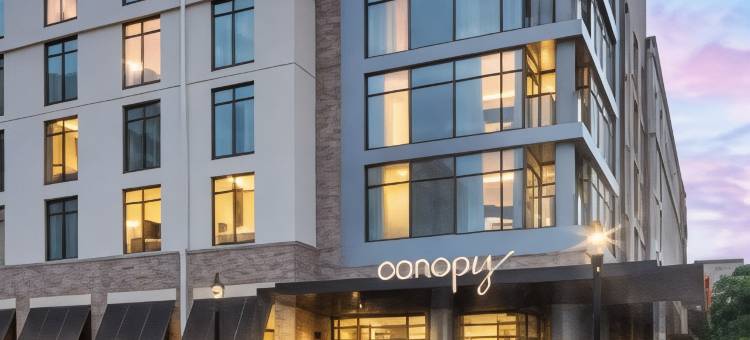 夏洛特南方公园希尔顿嘉悦里酒店(Canopy by Hilton Charlotte SouthPark)图片