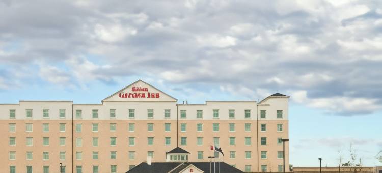 埃德蒙顿国际机场希尔顿花园酒店(Hilton Garden Inn Edmonton International Airport)图片