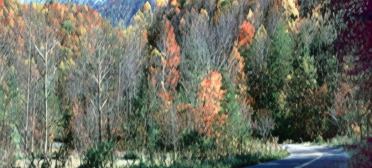 托尼贝斯特韦斯特酒店(Best Western Toni Inn)图片