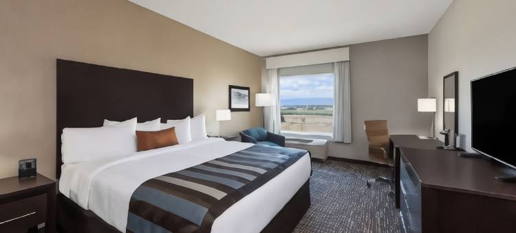 克里斯琴斯堡酒店蔚景温德姆酒店(Wingate by Wyndham Christiansburg)图片