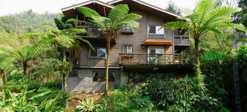 南投溪头新明山木屋渡假村图片