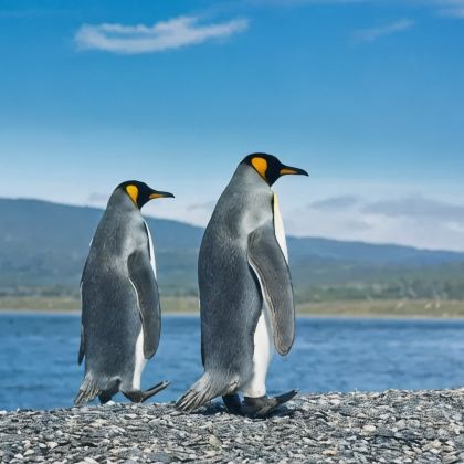 智利圣地亚哥+百内国家公园+格雷冰川+瓦尔帕莱索10日9晚拼小团