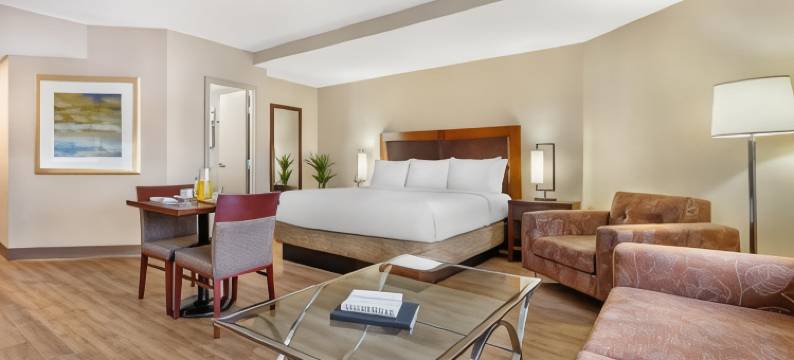 渥太华城市中心贝斯特韦斯特优质酒店(Best Western Plus Ottawa City Centre)图片