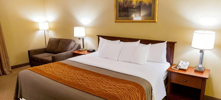 新荷兰阿米什乡村舒适酒店(Comfort Inn Amish Country)图片