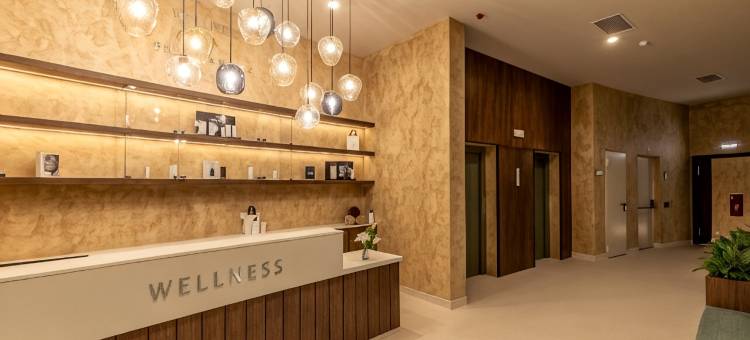 贝拉维斯塔达卢斯健康生活方式酒店(Belavista Da Luz - Wellness & Lifestyle Hotel)图片